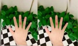 长楠瓜咋吃,解锁美味新体验