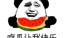 国际视野吃瓜群众,多元文化中的娱乐现象解析