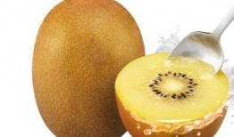 金果妈妈吃的瓜,金果妈妈与美味瓜果的甜蜜邂逅