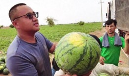 吃瓜图片治愈,一张吃瓜图治愈心灵之旅