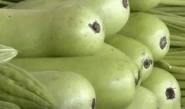 吃瓜葫芦素中毒,警惕夏日常见瓜果风险