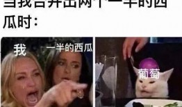 吃瓜主播吃大西瓜,吃瓜主播挑战大西瓜，趣味横生