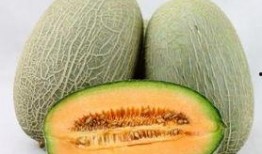 哺乳期可以吃哈密瓜么,营养美味两不误