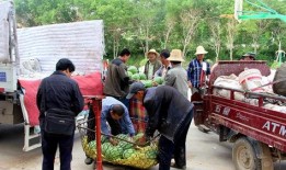 沂南吃瓜群众,揭秘当地独特饮食文化