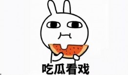 吃瓜条暗示什么,揭示娱乐圈的隐秘世界