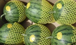 准备吃瓜打工了,职场奋斗正当时