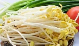 会吃瓜的豆芽,揭秘网络红人的趣味生活