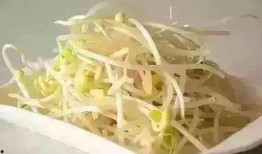 会吃瓜的豆芽,揭秘网络红人的趣味生活