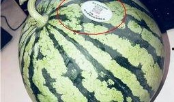 株洲网红吃瓜,揭秘当地美食圈的热辣话题