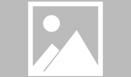 诗诗狂吃瓜,揭秘娱乐圈的甜蜜与苦涩