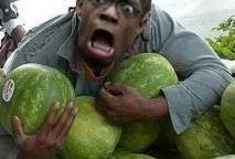 吃美利坚瓜群众,探寻吃瓜群众的独特魅力