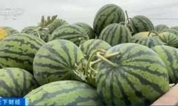 山艺吃瓜,揭秘校园美食背后的故事