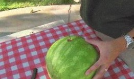 墨白助力吃瓜,揭秘娱乐圈幕后风云