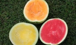 瓜白瓤怎么吃,解锁健康美味新选择