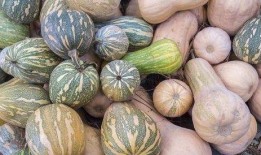 妇女梦见吃瓜,女性视角下的瓜果盛宴