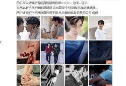 追星吃瓜纪录片,揭秘追星文化中的吃瓜真相