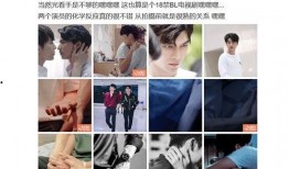 追星吃瓜纪录片,揭秘追星文化中的吃瓜真相