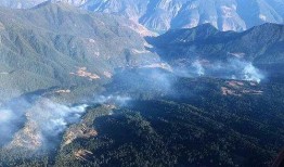 木里县吃瓜,瓜果飘香，品味田园生活