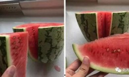 吃瓜吞籽,揭秘瓜果中的奇妙世界