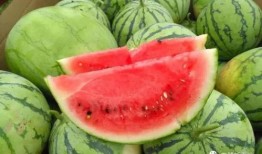 万博吃瓜,揭秘娱乐圈背后的那些事儿