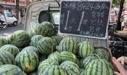 吃6斤瓜,一夏六斤瓜的甜蜜滋味