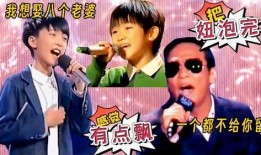 配音吃瓜,揭秘配音界的幕后故事