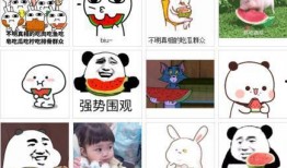 吃瓜吃的好香啊,品味生活，共享瓜香