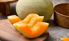 回肠糜烂可以吃哈密瓜吗,回肠糜烂患者适宜食用哈密瓜的探讨