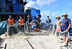 中国渔民吃瓜国外,揭秘国外“吃瓜”现象背后的故事