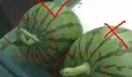 论吃瓜群,网络社交新现象背后的文化解读